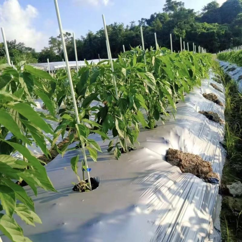 玻璃纤维杆，拱棚专用小拱棚支架蔬菜实心杆超硬防虫网拱杆玻