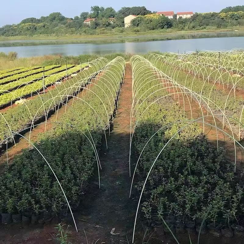 玻璃纤维杆，拱棚专用小拱棚支架蔬菜实心杆超硬防虫网拱杆玻
