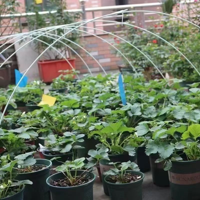 玻璃纤维杆，拱棚专用小拱棚支架蔬菜实心杆超硬防虫网拱杆玻