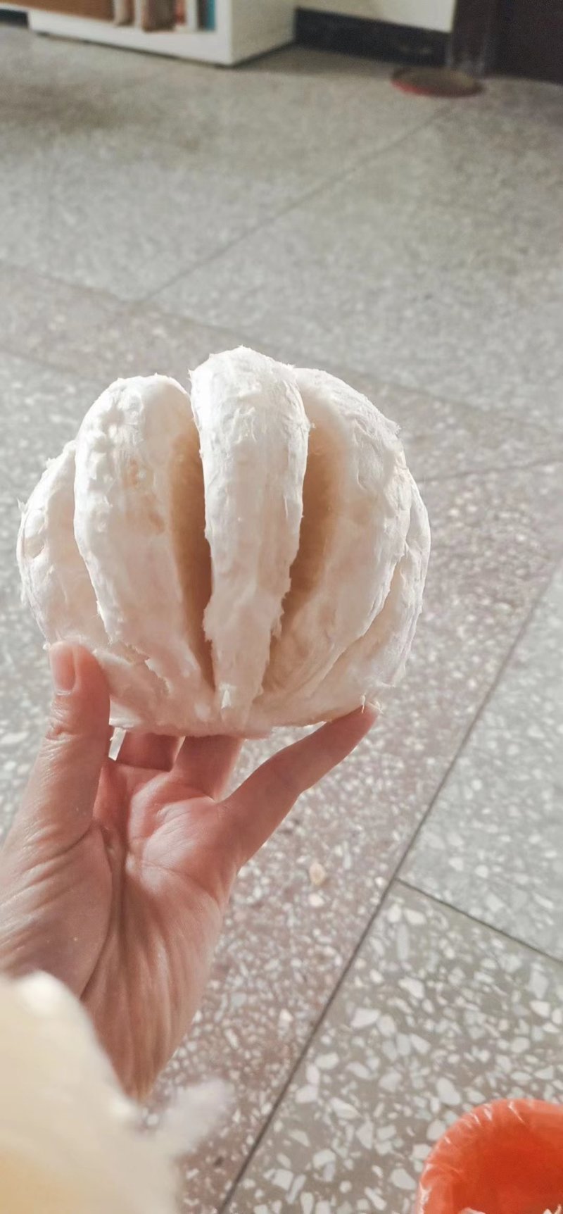 正宗湖南江永香柚