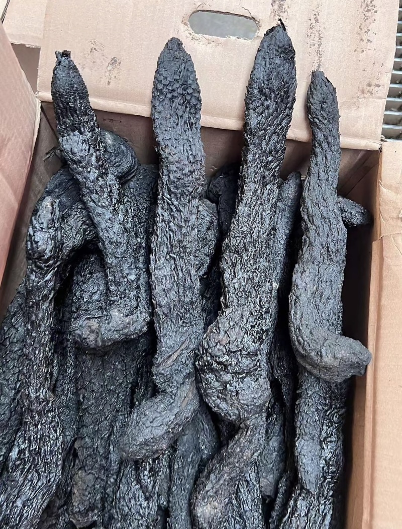 肉苁蓉油性软质肉苁蓉肉厚肉从容一手货源