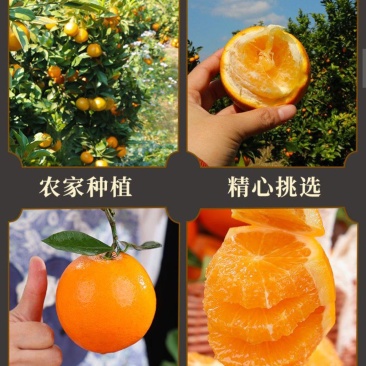 橙子