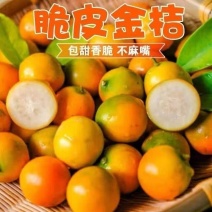脆皮金桔新鲜小金桔子广西桔子正宗脆皮滑皮金桔小金桔带皮吃