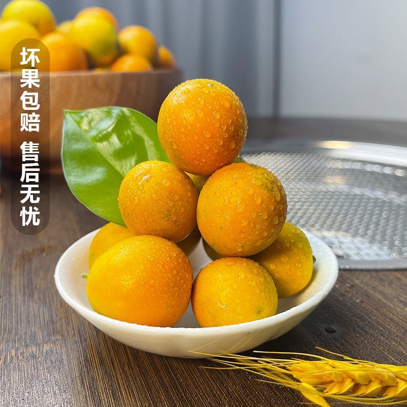 脆皮金桔新鲜小金桔子广西桔子正宗脆皮滑皮金桔小金桔带皮吃