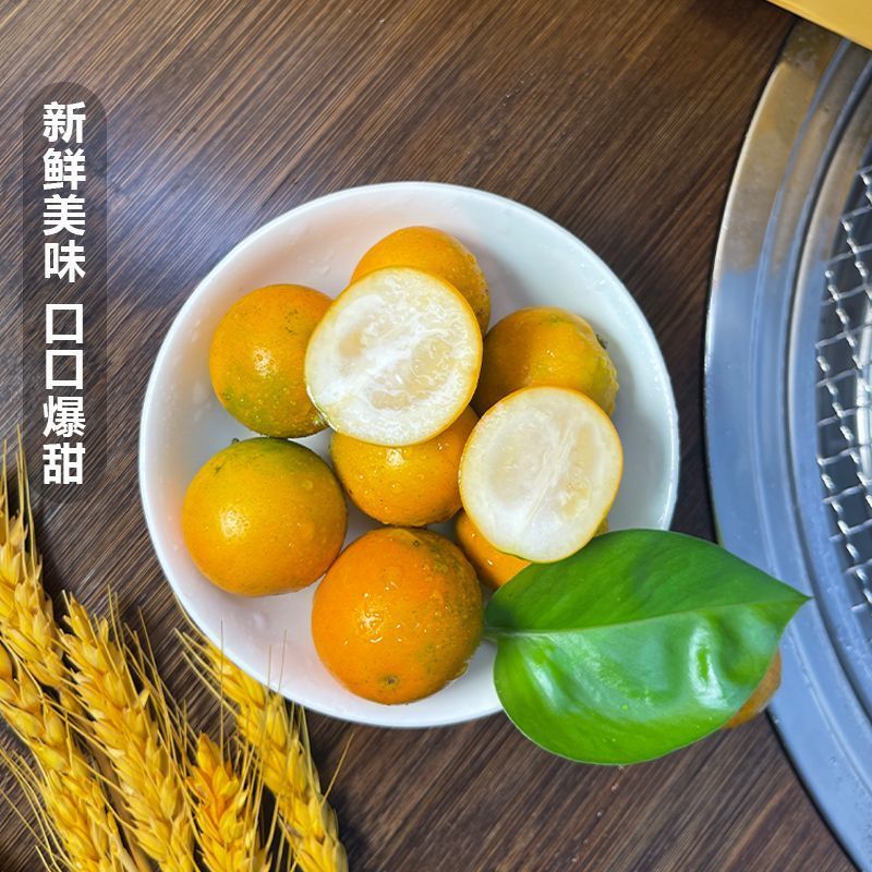 脆皮金桔新鲜小金桔子广西桔子正宗脆皮滑皮金桔小金桔带皮吃