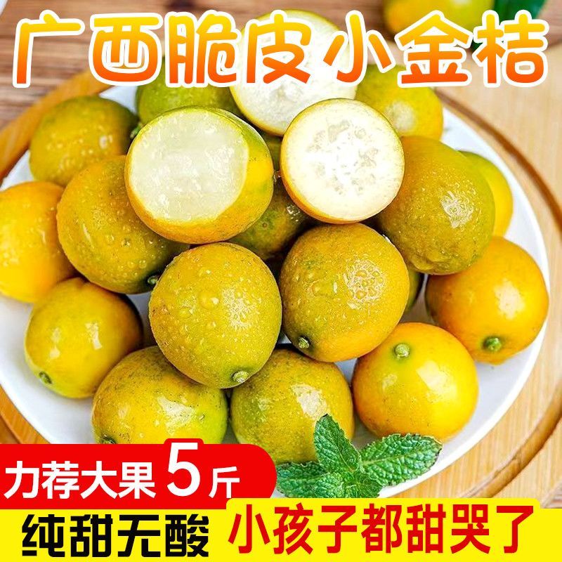 脆皮金桔新鲜小金桔子广西桔子正宗脆皮滑皮金桔小金桔带皮吃