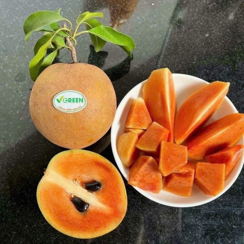 墨西哥红肉人心果靠接苗