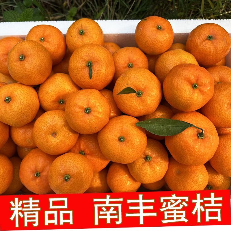 正宗南丰蜜桔橘子新鲜桔子孕妇应季水果甜薄皮广西小蜜橘包邮