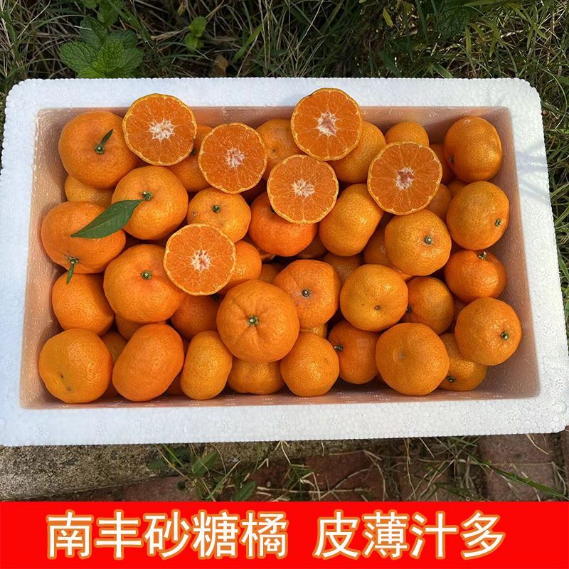 正宗南丰蜜桔橘子新鲜桔子孕妇应季水果甜薄皮广西小蜜橘包邮