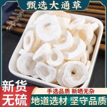 大通草正品四川大通草无硫无增重良心品质一手货源
