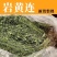岩黄莲野生岩黄连中药材土黄连胡岩连一手货源批发