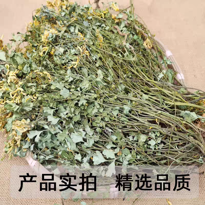 岩黄莲野生岩黄连中药材土黄连胡岩连一手货源批发
