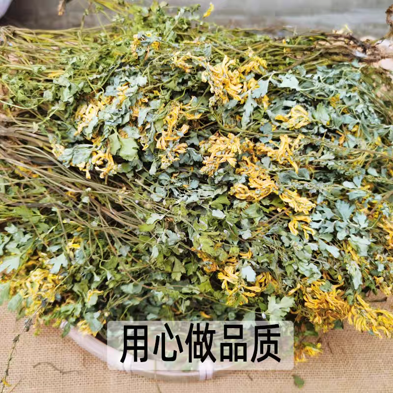 岩黄莲野生岩黄连中药材土黄连胡岩连一手货源批发