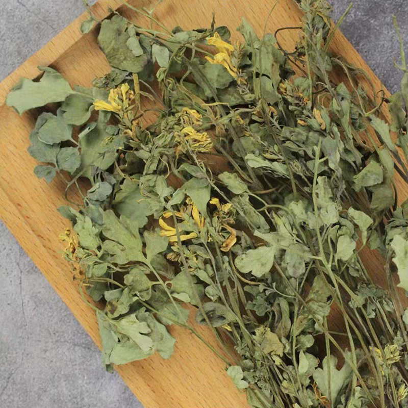 岩黄莲野生岩黄连中药材土黄连胡岩连一手货源批发