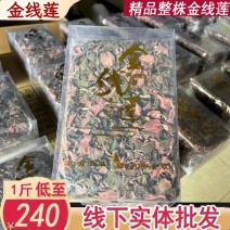 金线莲整株红霞金线莲包邮干品颜色好无碎量大从优