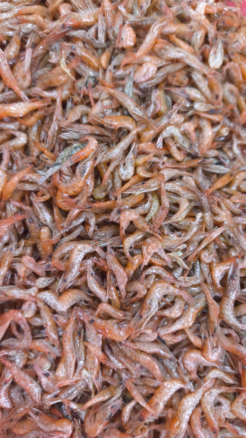 各种河虾干，红虾河虾批发，摆摊零售都合适