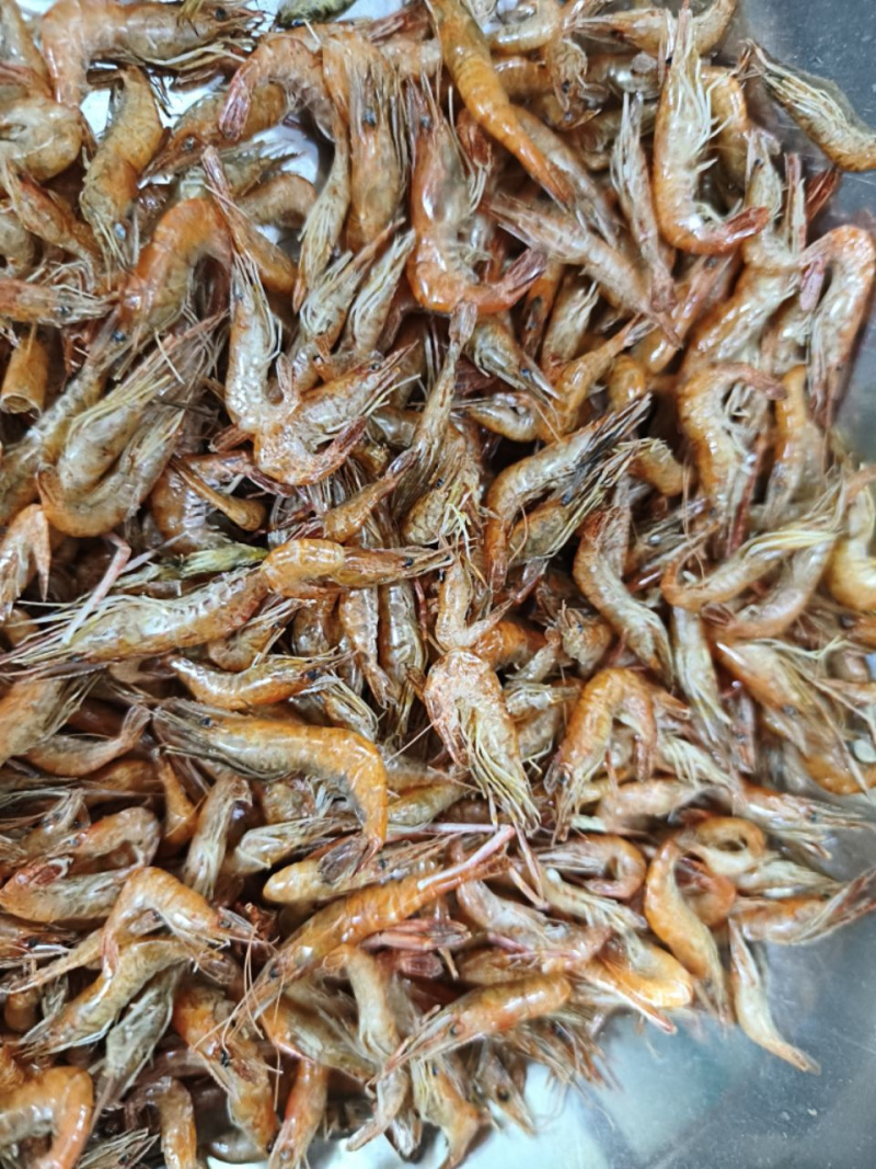 各种河虾干，红虾河虾批发，摆摊零售都合适