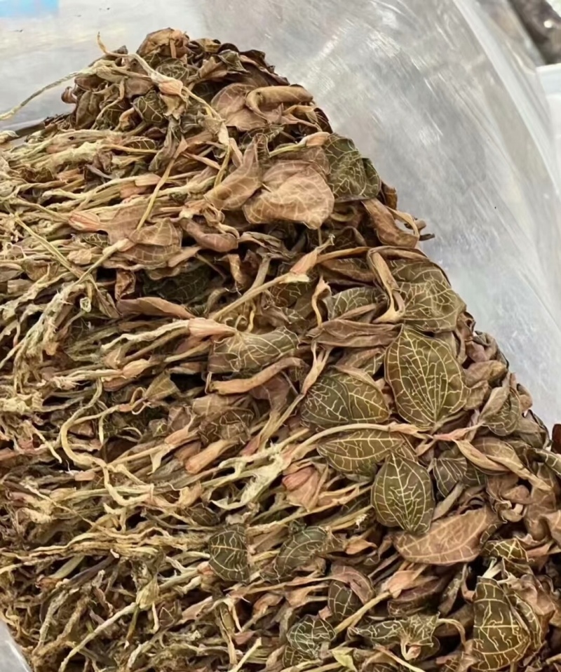 金线莲整株红霞金线莲包邮干品颜色好无碎量大从优