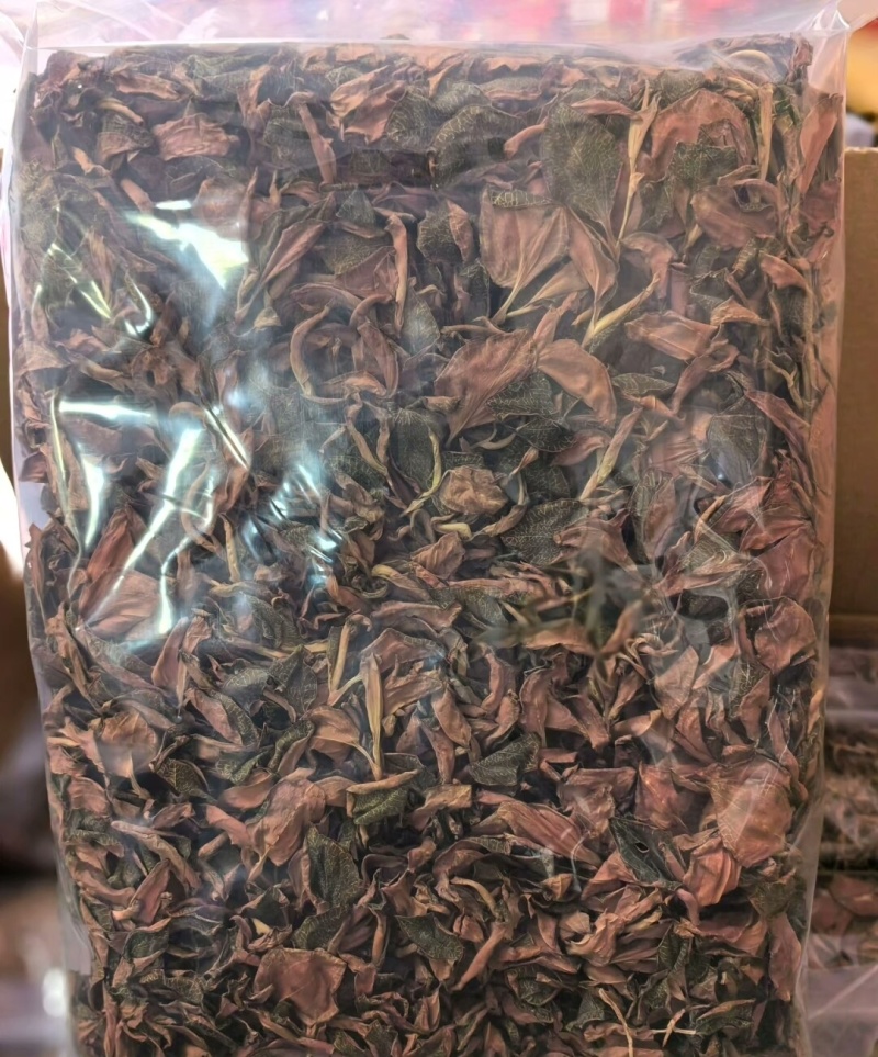 金线莲整株红霞金线莲包邮干品颜色好无碎量大从优
