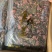金线莲整株红霞金线莲包邮干品颜色好无碎量大从优