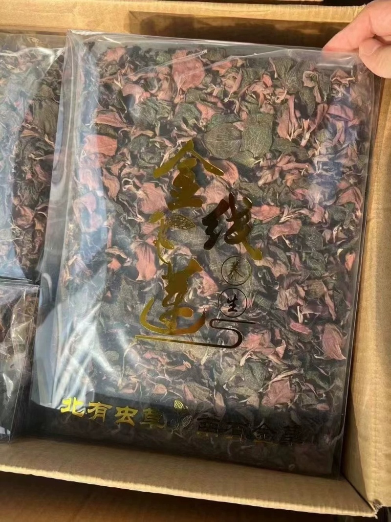 金线莲整株红霞金线莲包邮干品颜色好无碎量大从优