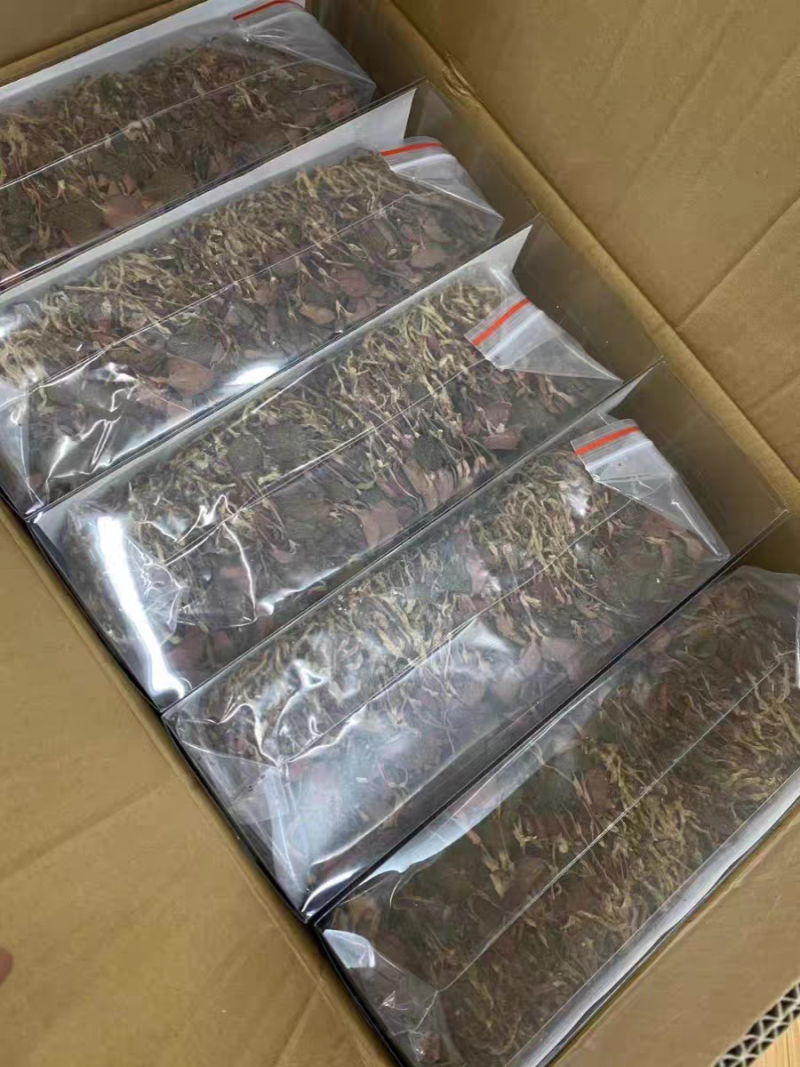 金线莲整株红霞金线莲包邮干品颜色好无碎量大从优