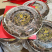 金线莲整株干品无碎林下种植金线莲保质保量量大从优