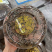 金线莲整株干品无碎林下种植金线莲保质保量量大从优