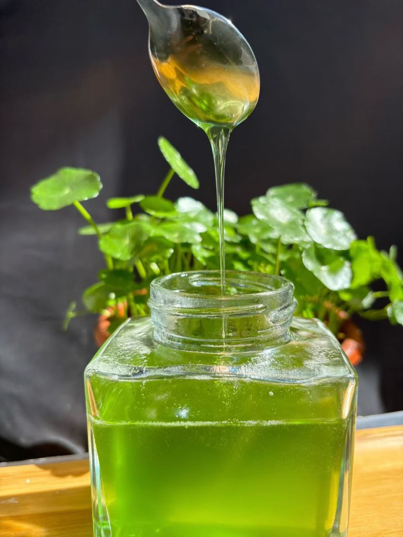 稀有蜂蜜翡翠蜜五倍子单花蜜天然成熟蜜***无浓缩