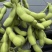 四川毛豆大量有货