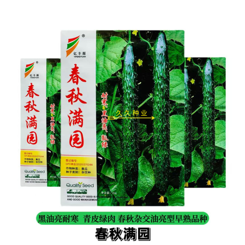 春秋满园早熟杂交油亮黄瓜种子绿皮绿肉质脆味甜瓜肉长耐