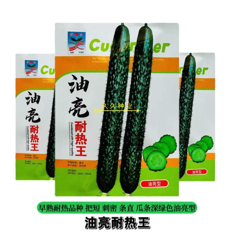 油亮耐热王黄瓜种子绿瓤长黄瓜种籽春夏秋季耐热密刺大田高产