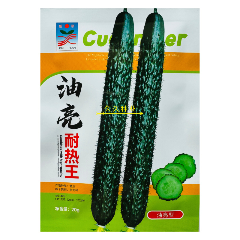 油亮耐热王黄瓜种子绿瓤长黄瓜种籽春夏秋季耐热密刺大田高产