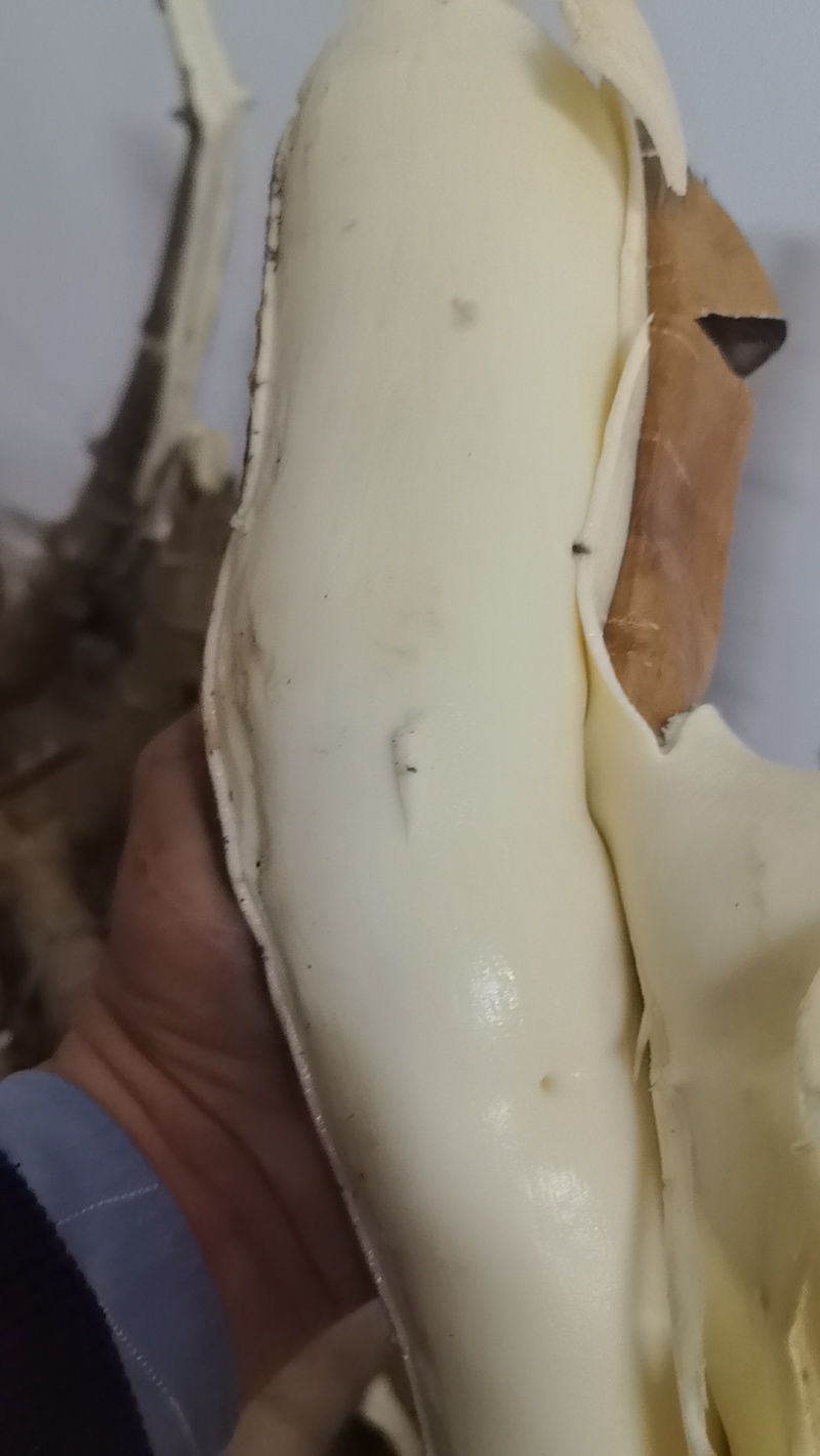 广西现挖黄心木薯黄金瓤心甜如板栗粉糯拉丝无筋无涩无