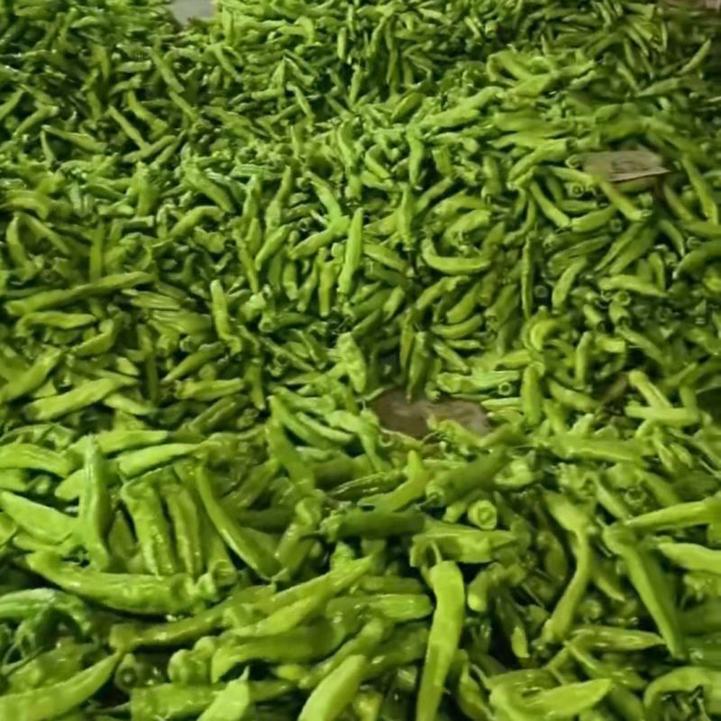 尖椒