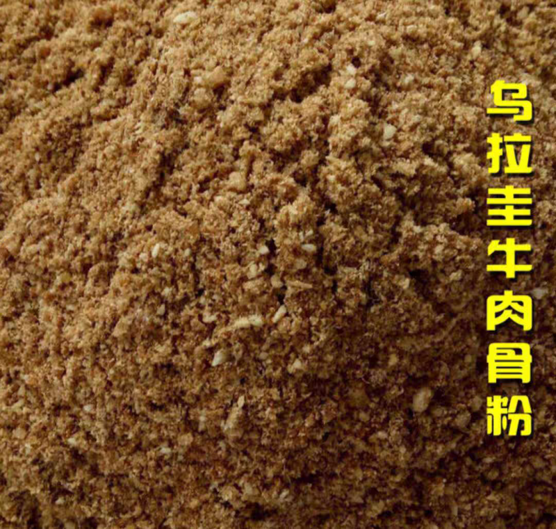 乌拉圭牛肉骨粉
