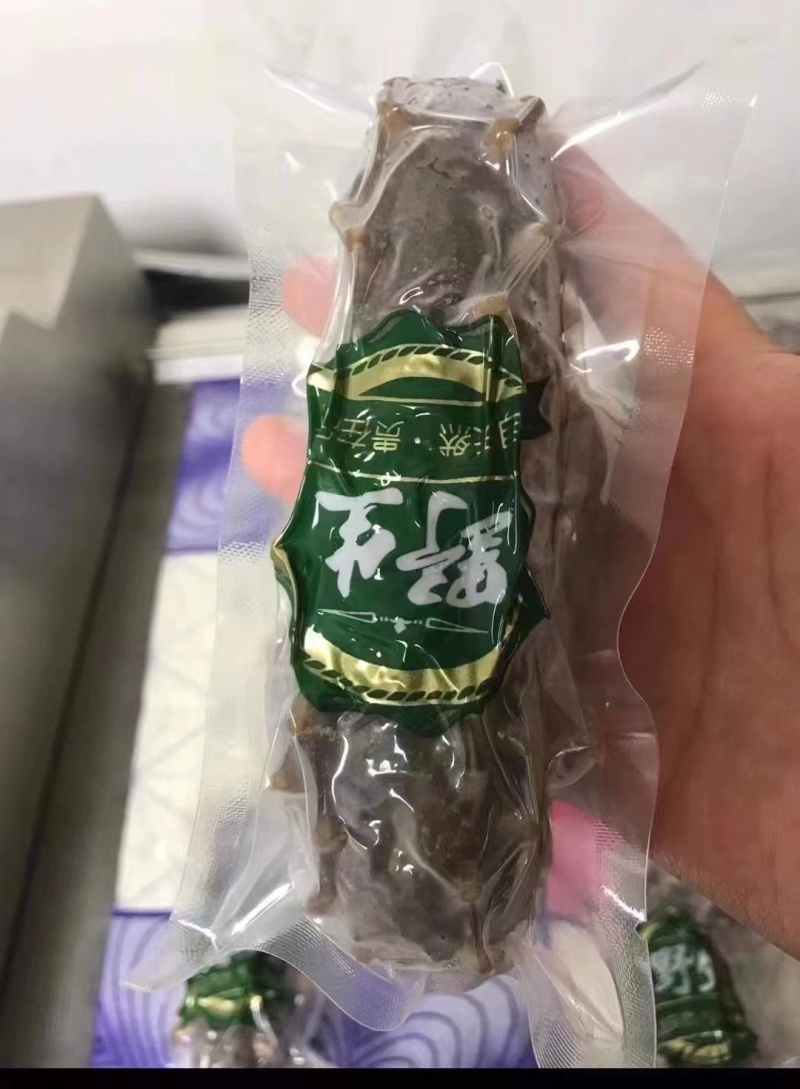 大连底播海参，自然生长营养丰富，口感紧实劲道，QQ弹弹