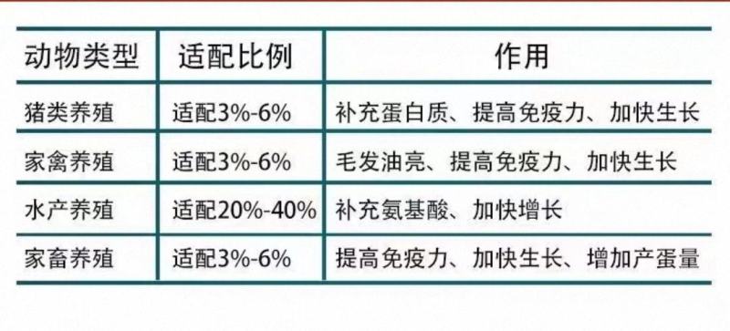 俄罗斯白鱼粉蛋白60%，新鲜度50%
