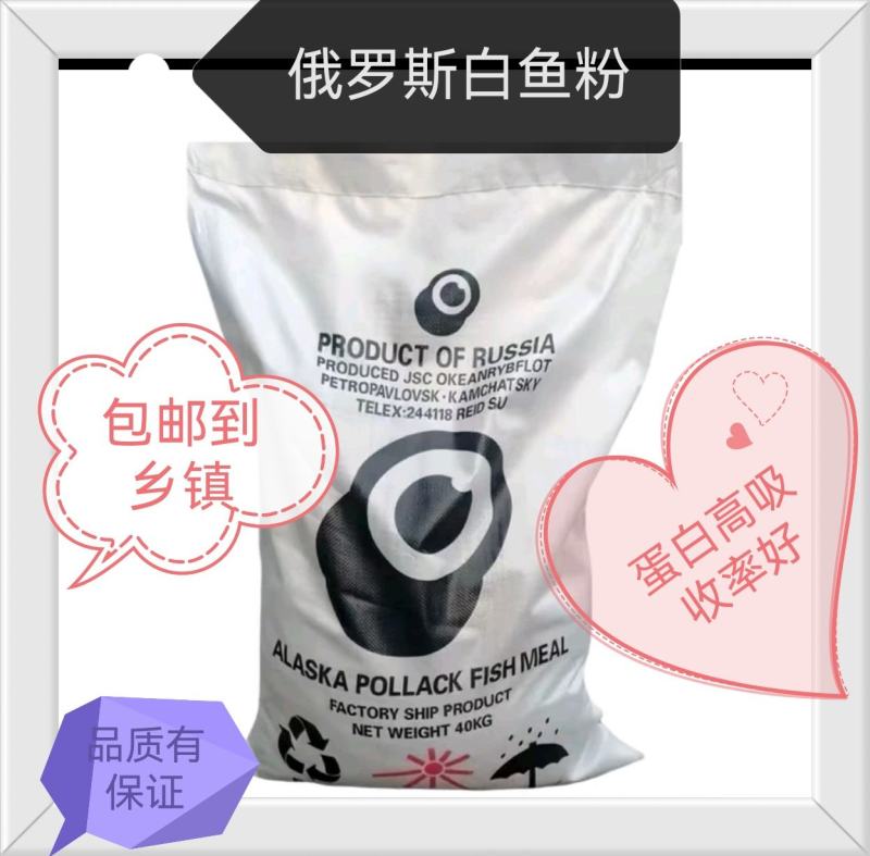 俄罗斯白鱼粉蛋白60%，新鲜度50%