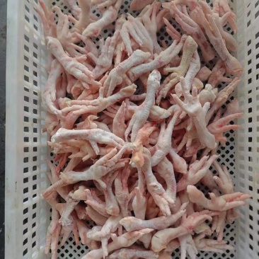 鸡爪花爪断爪残爪餐饮食堂食品加工屠宰厂直供供应稳定