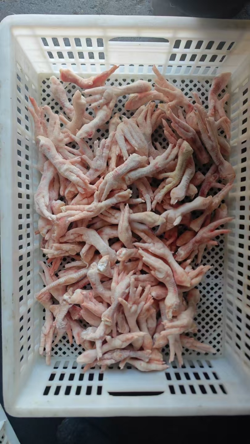 鸡爪花爪断爪残爪餐饮食堂食品加工屠宰厂直供供应稳定