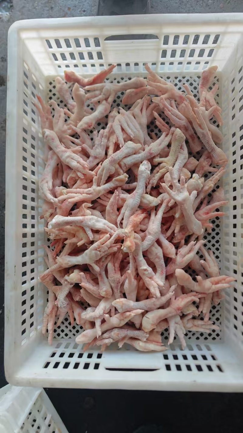 鸡爪花爪断爪残爪餐饮食堂食品加工屠宰厂直供供应稳定