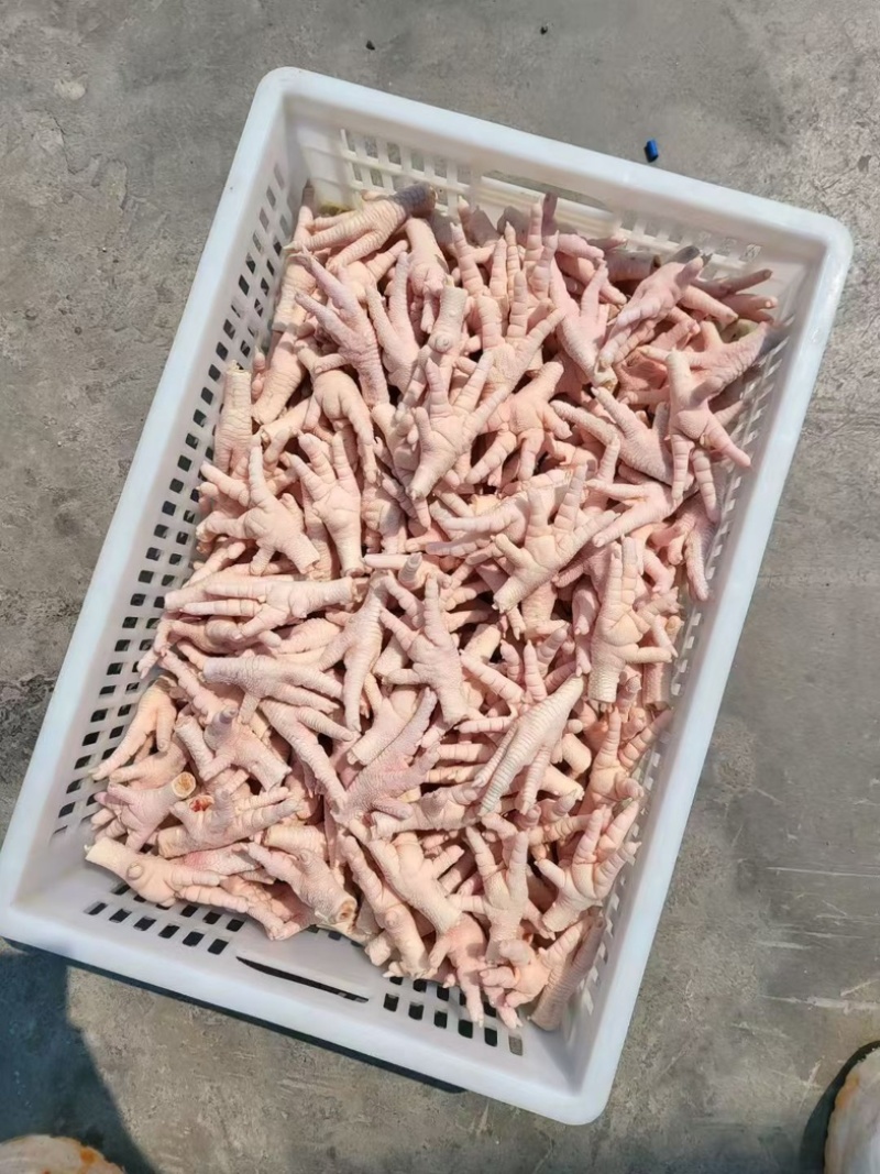 凤爪规格齐全，新鲜鸡爪新鲜冷冻卤味鸡脚烧烤商用批发
