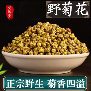 正宗大别山天然野菊花
