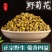 正宗大别山天然野菊花