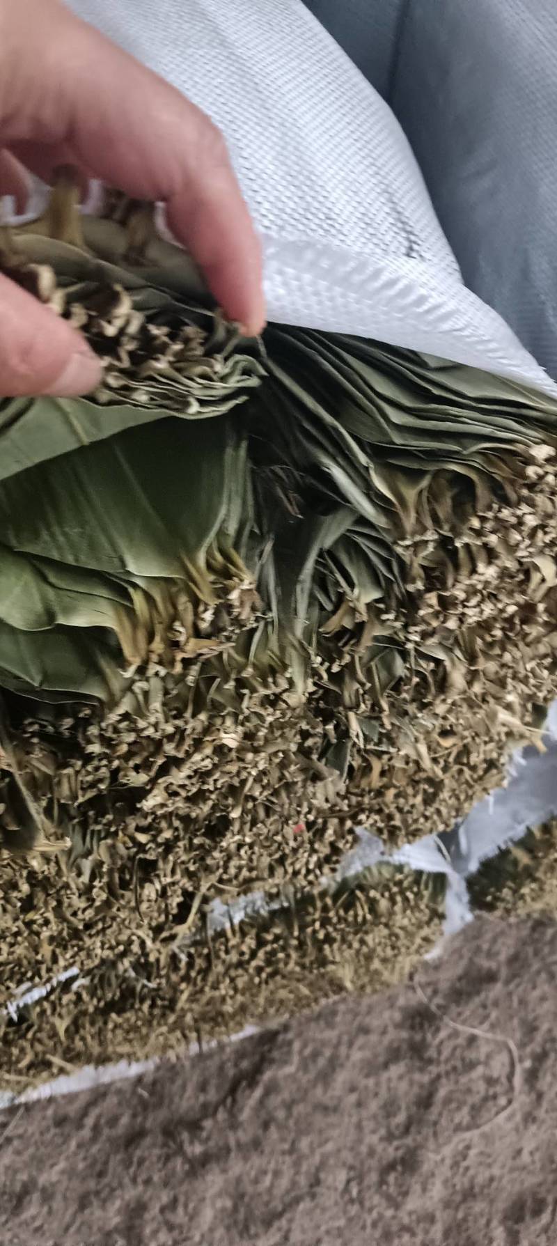 精选粽叶