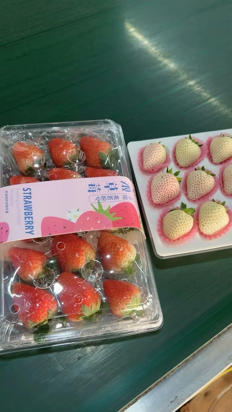 隋珠香野章姬甜宝草莓
