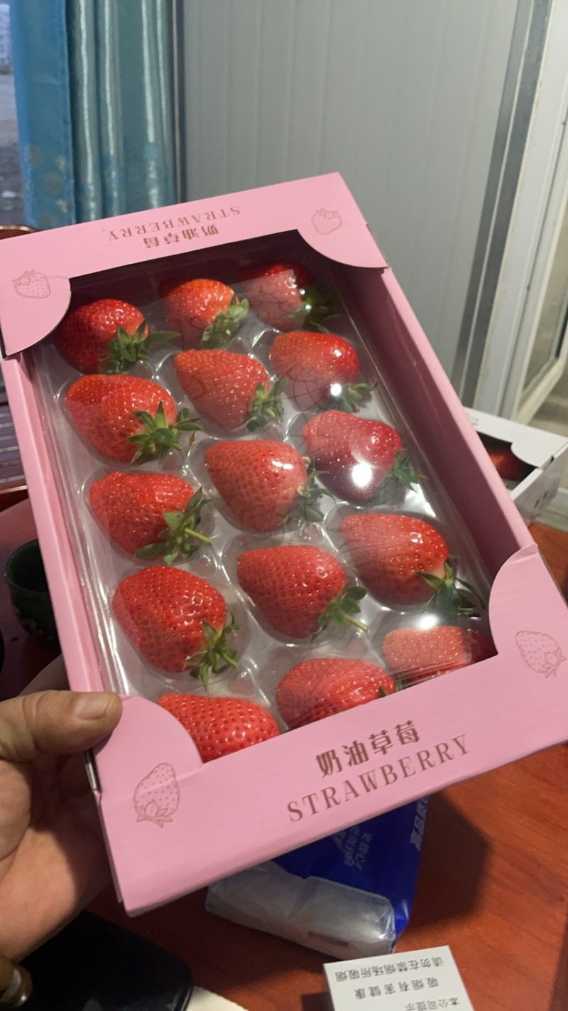 隋珠香野章姬甜宝草莓
