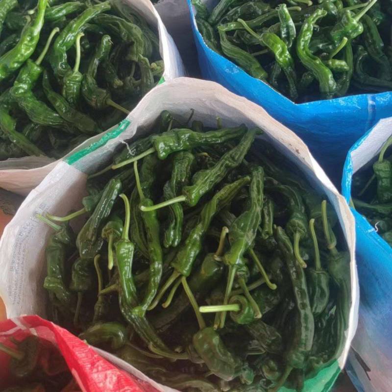 辣子鸡专用皱皮