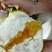 自家纽荷尔脐橙果园